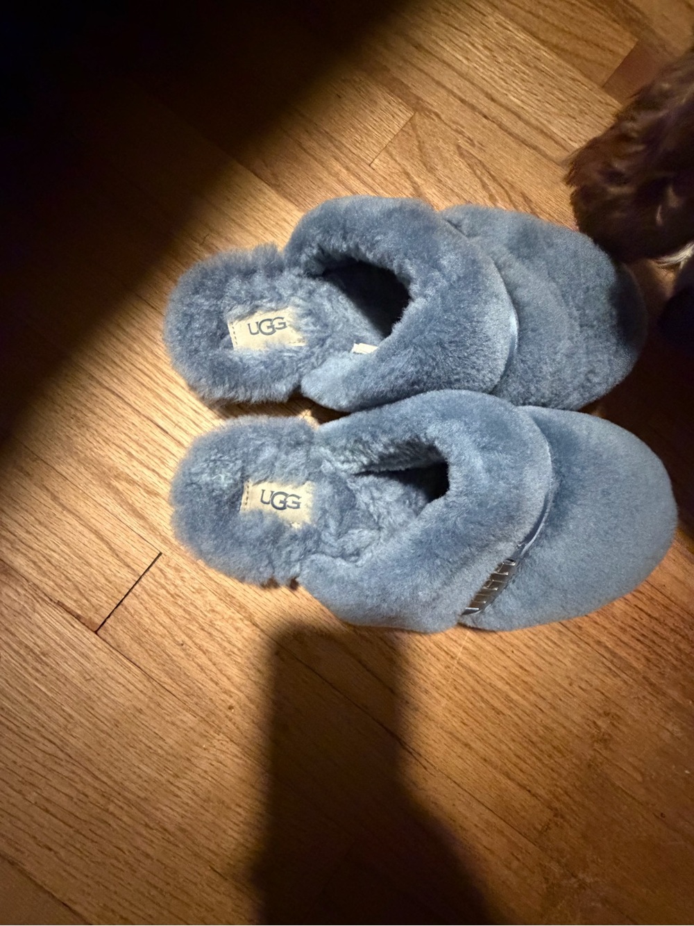 UGG  Plush Shearling Slippers‎ in Dusty Blue
